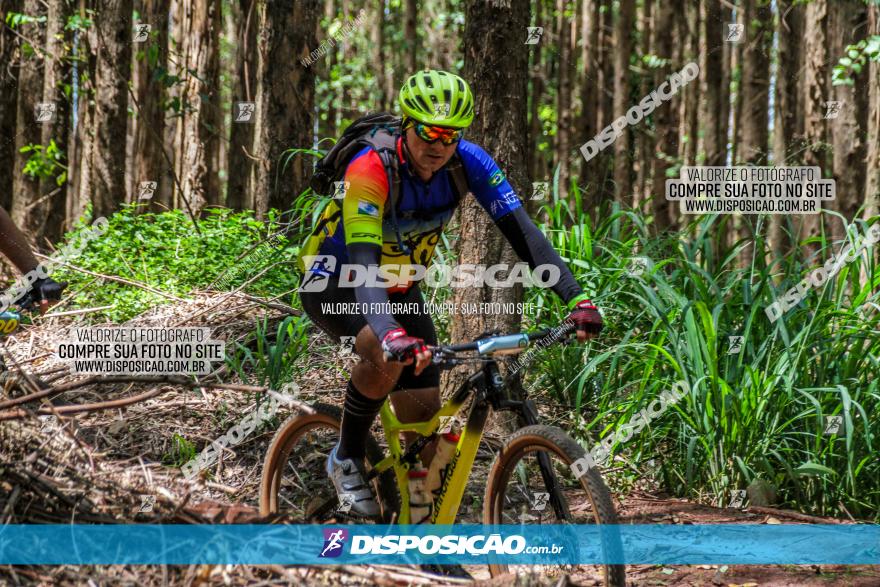 3° Desafio 100km de Terra