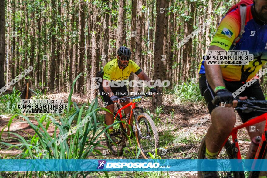 3° Desafio 100km de Terra