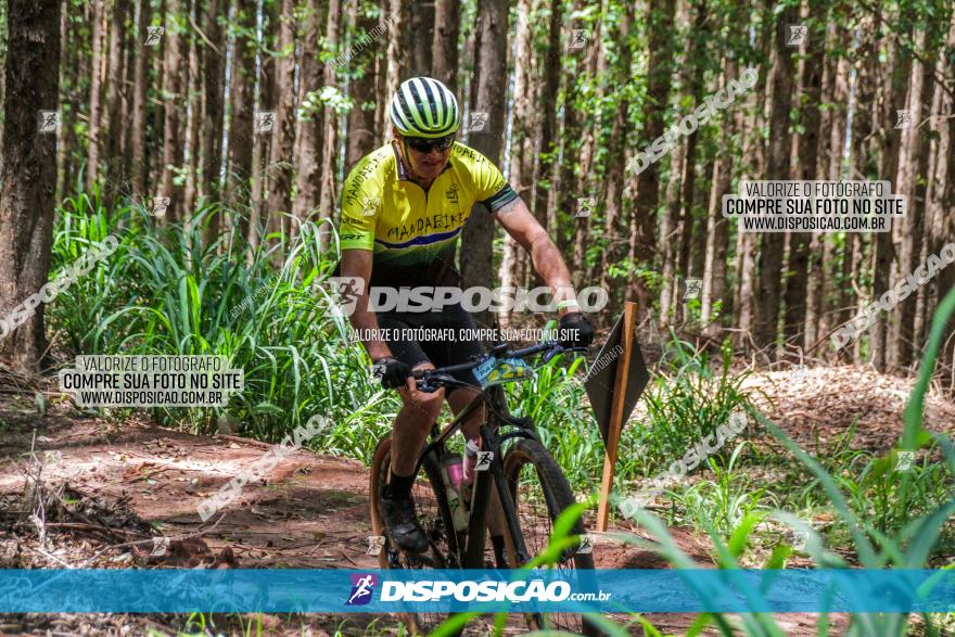 3° Desafio 100km de Terra