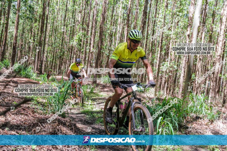 3° Desafio 100km de Terra