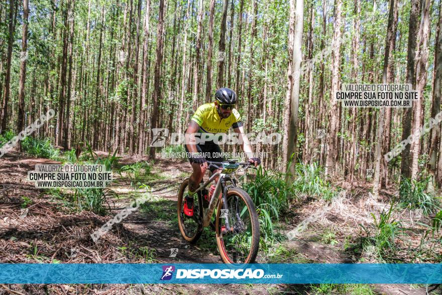 3° Desafio 100km de Terra