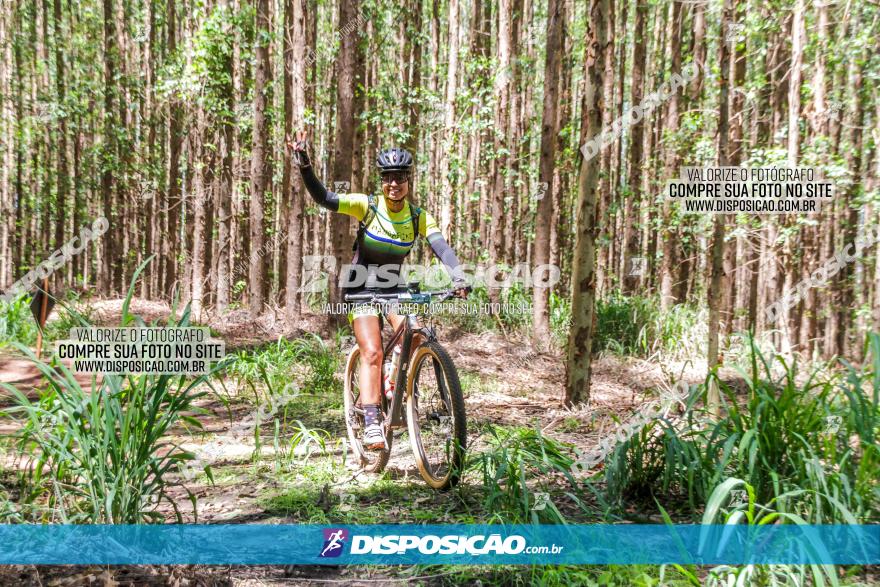 3° Desafio 100km de Terra