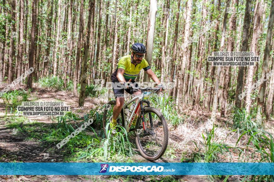 3° Desafio 100km de Terra