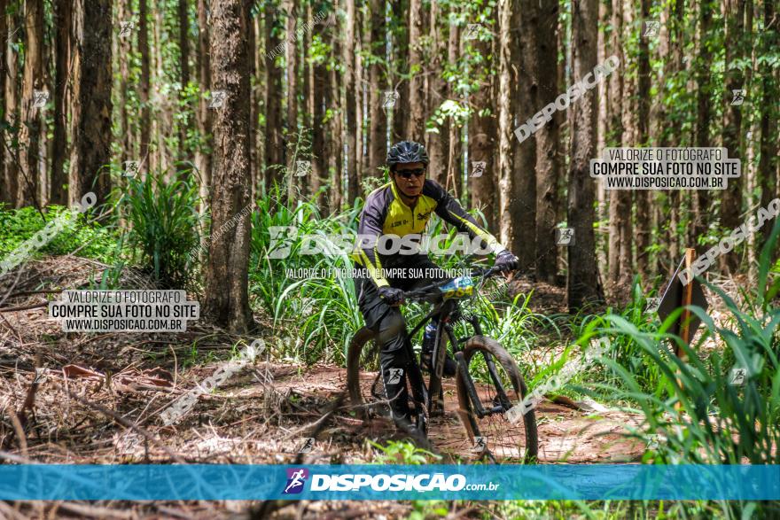 3° Desafio 100km de Terra