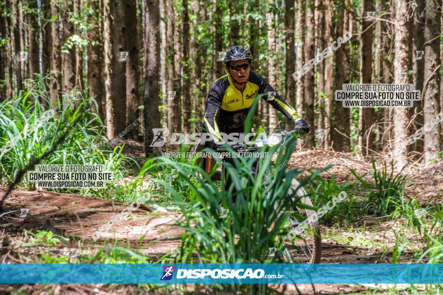 3° Desafio 100km de Terra