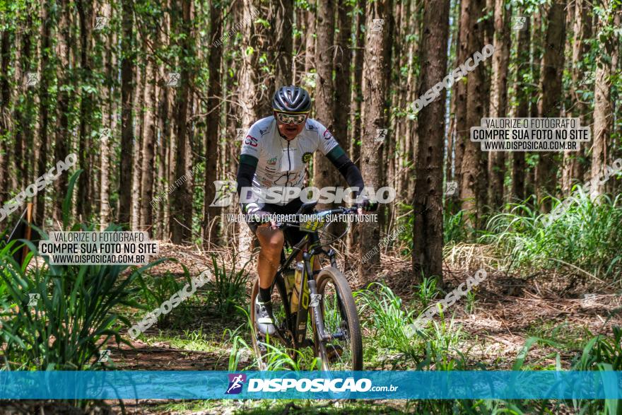 3° Desafio 100km de Terra