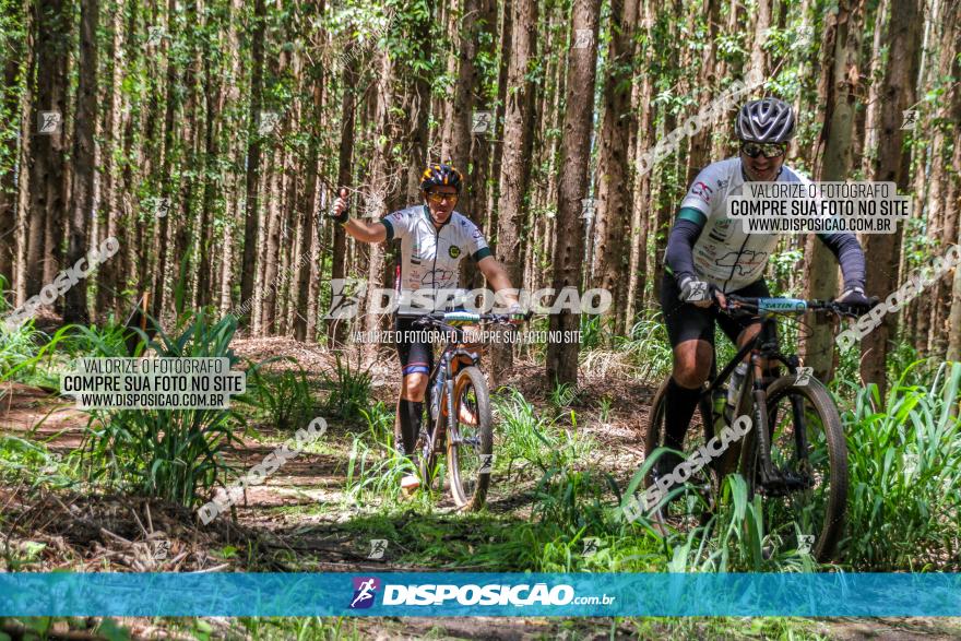 3° Desafio 100km de Terra