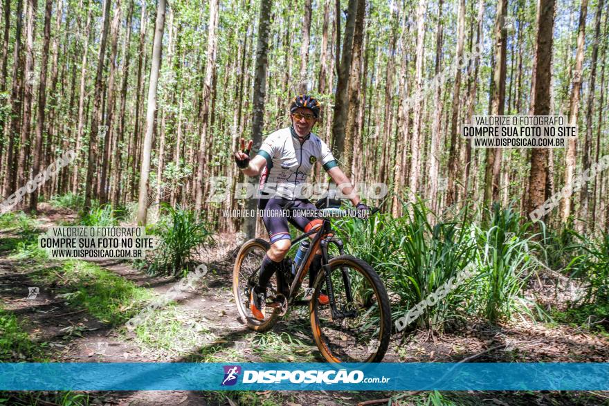 3° Desafio 100km de Terra