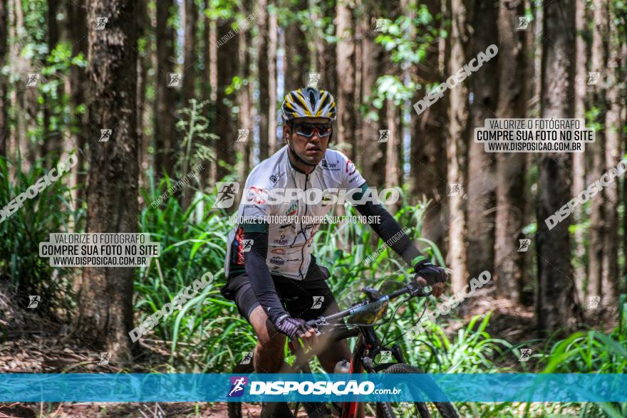 3° Desafio 100km de Terra