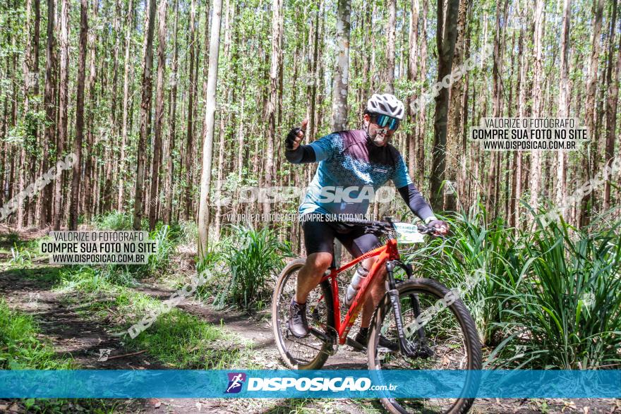 3° Desafio 100km de Terra