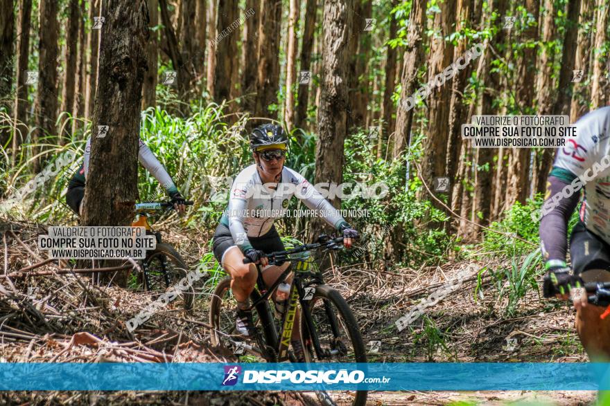 3° Desafio 100km de Terra