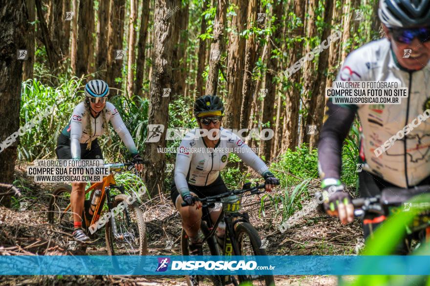 3° Desafio 100km de Terra