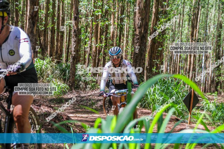 3° Desafio 100km de Terra