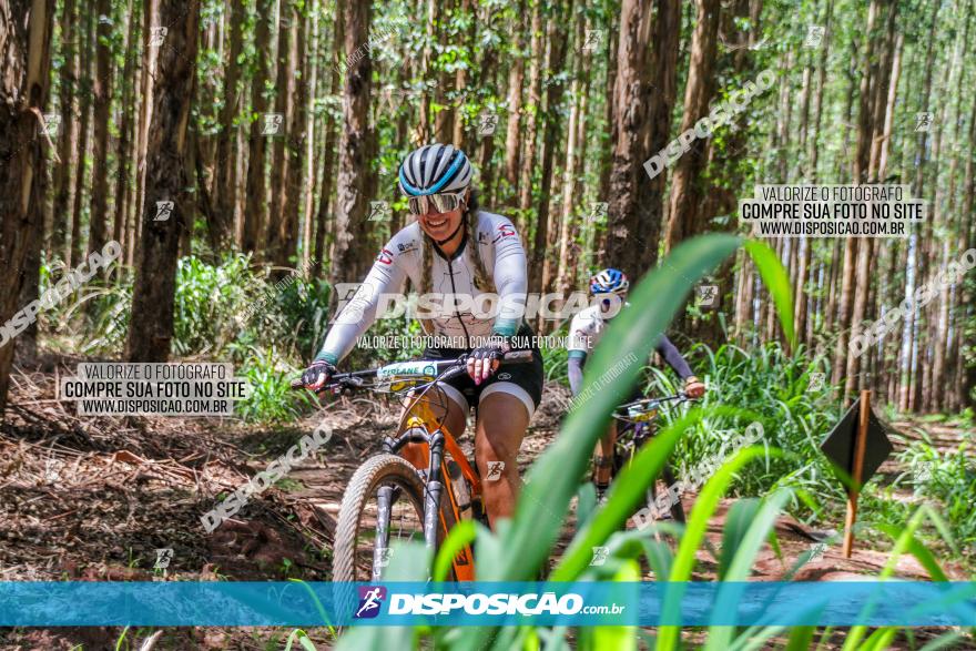 3° Desafio 100km de Terra