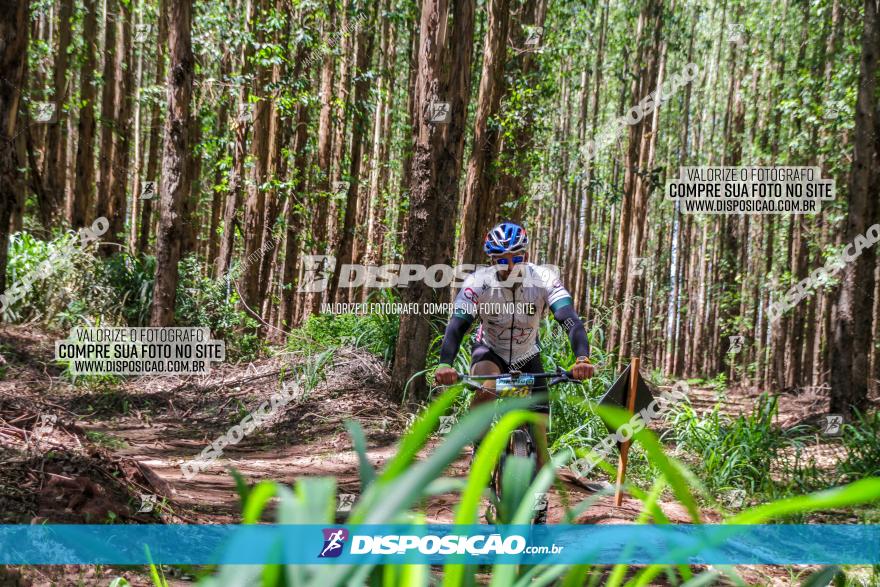 3° Desafio 100km de Terra