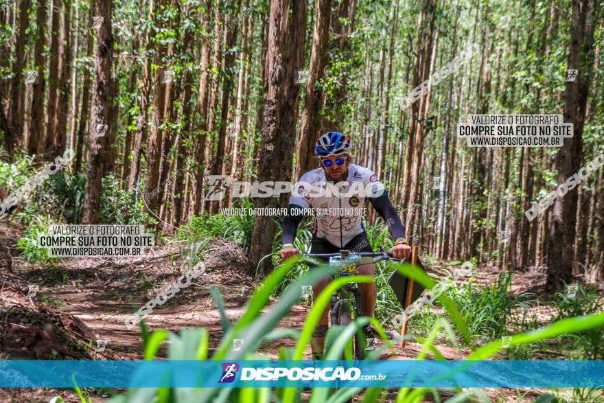 3° Desafio 100km de Terra