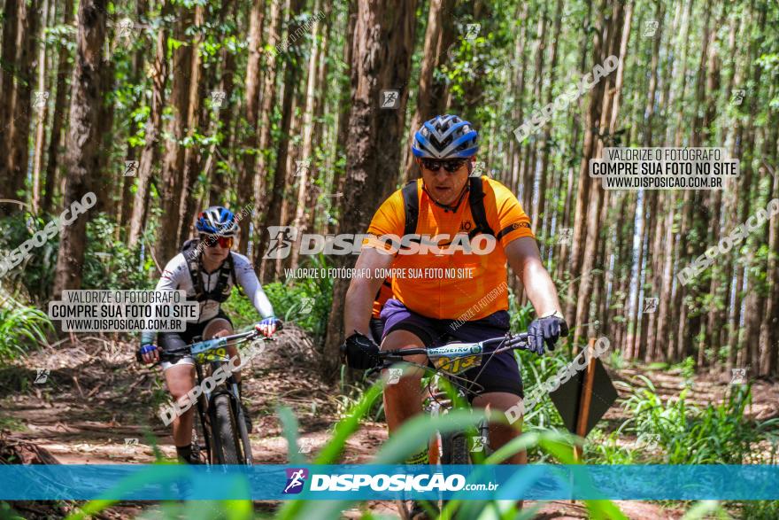 3° Desafio 100km de Terra