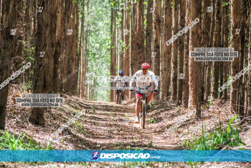 3° Desafio 100km de Terra