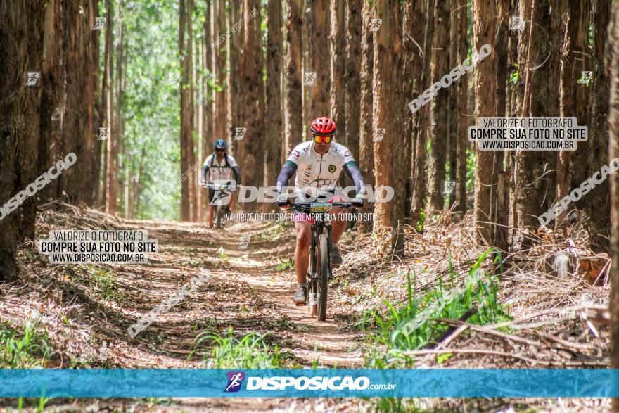 3° Desafio 100km de Terra