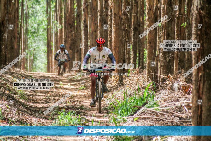 3° Desafio 100km de Terra