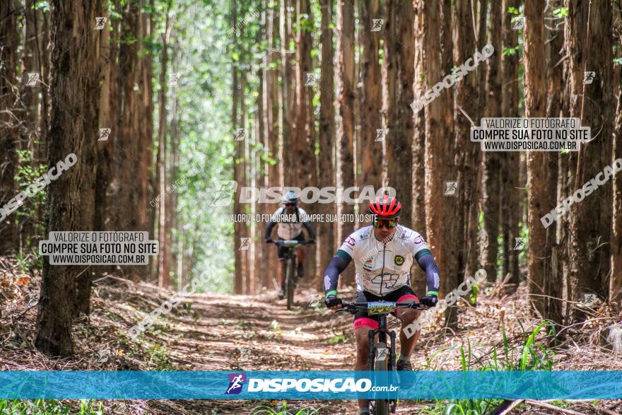 3° Desafio 100km de Terra