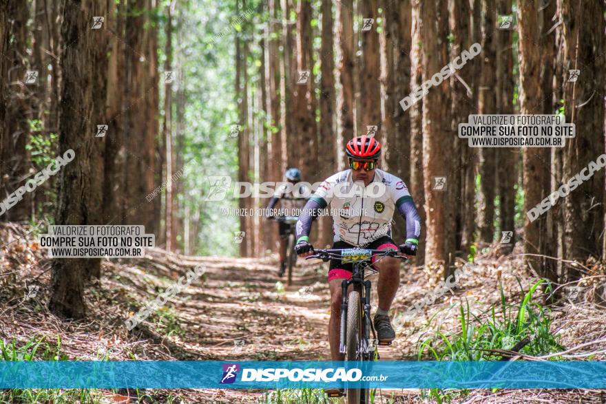 3° Desafio 100km de Terra