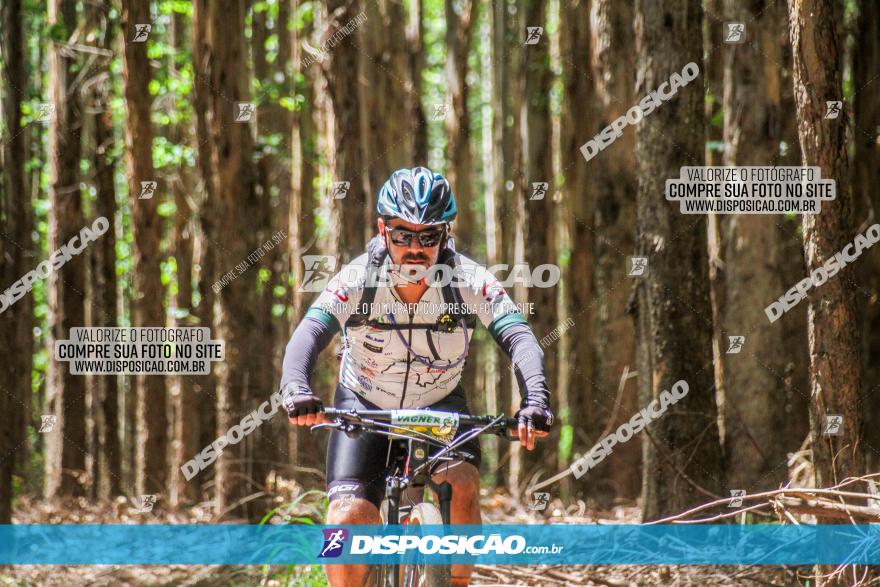 3° Desafio 100km de Terra