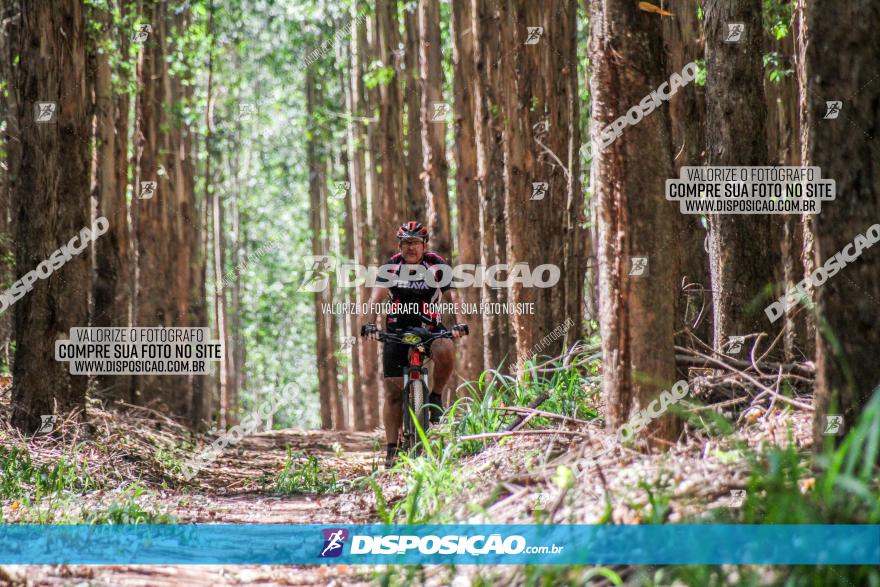 3° Desafio 100km de Terra