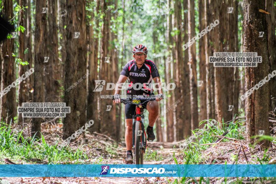 3° Desafio 100km de Terra