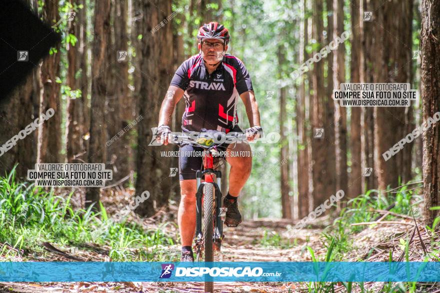 3° Desafio 100km de Terra