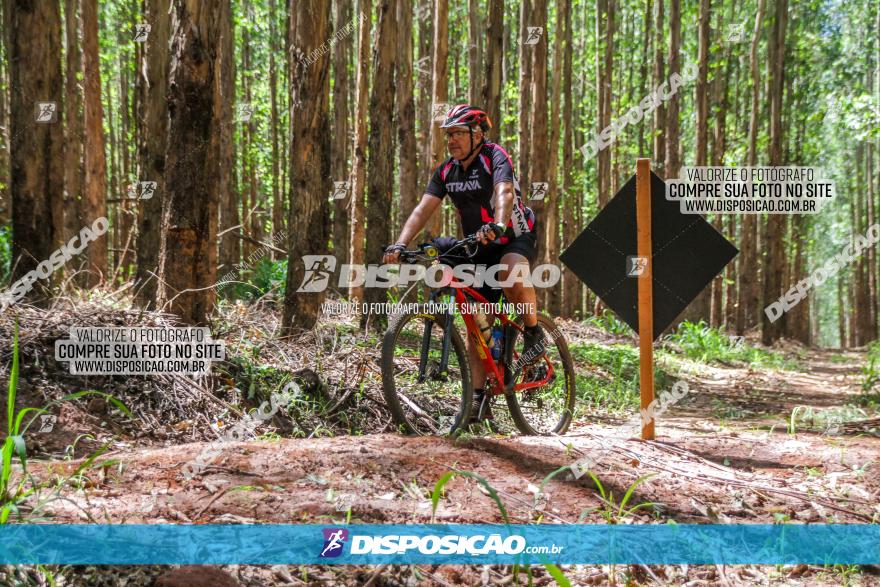 3° Desafio 100km de Terra