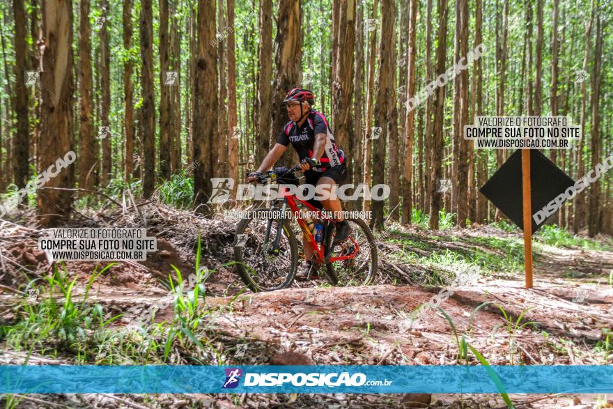 3° Desafio 100km de Terra