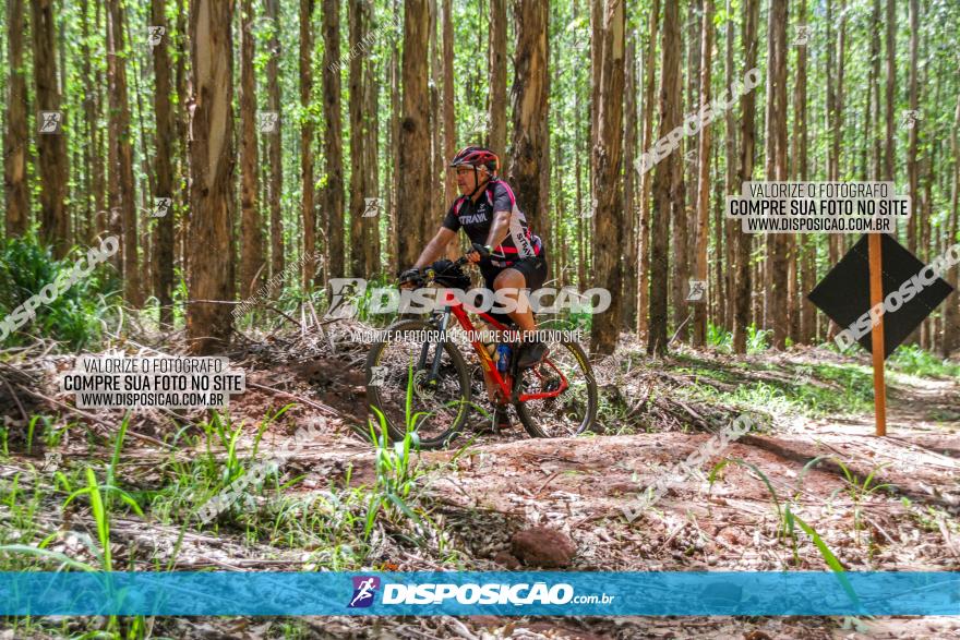 3° Desafio 100km de Terra