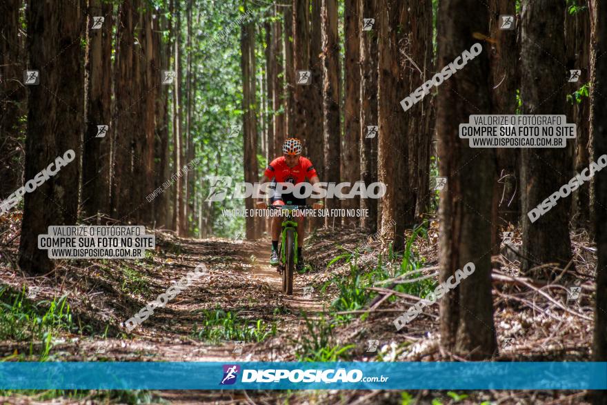 3° Desafio 100km de Terra