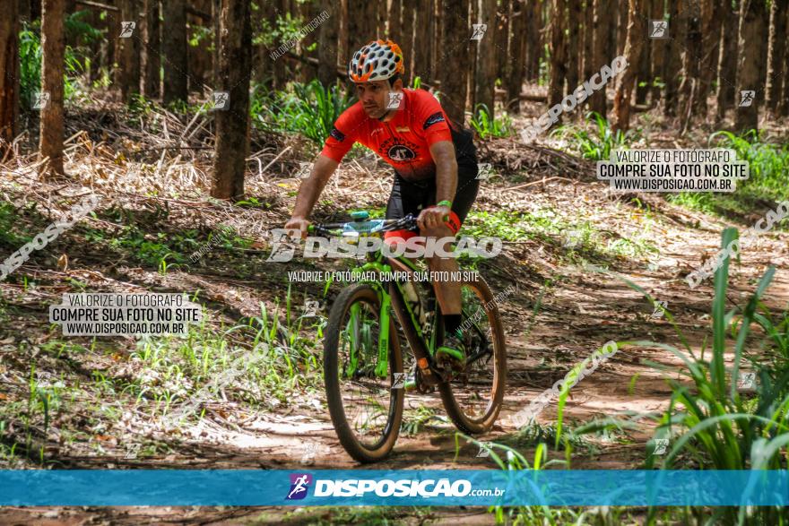 3° Desafio 100km de Terra