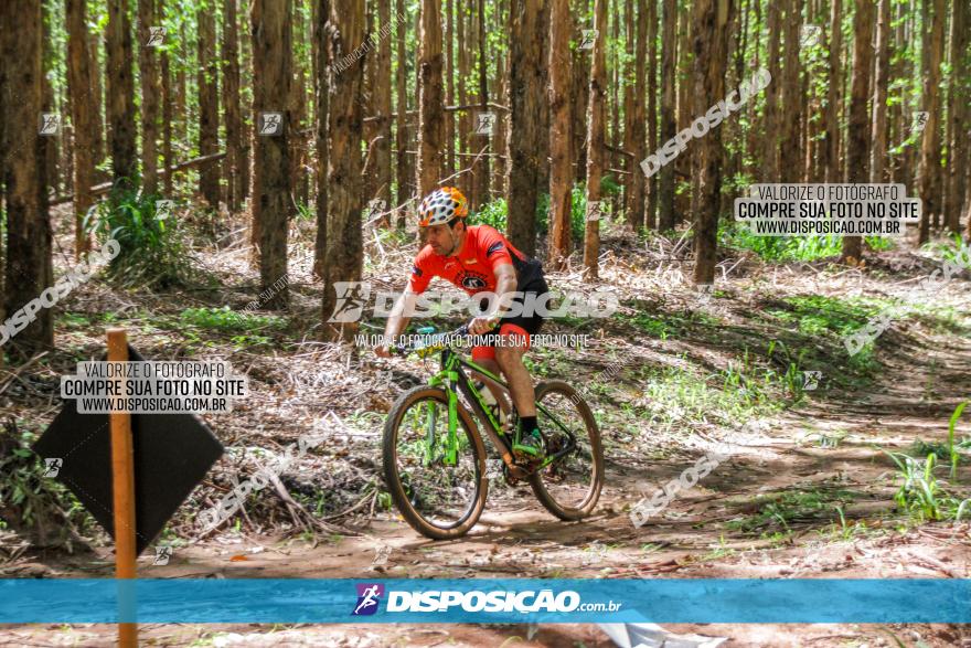 3° Desafio 100km de Terra