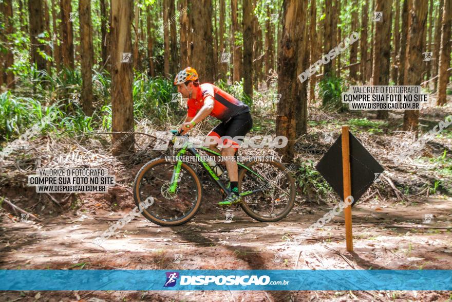 3° Desafio 100km de Terra