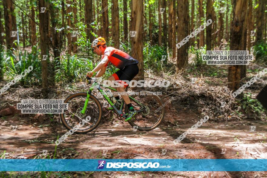 3° Desafio 100km de Terra