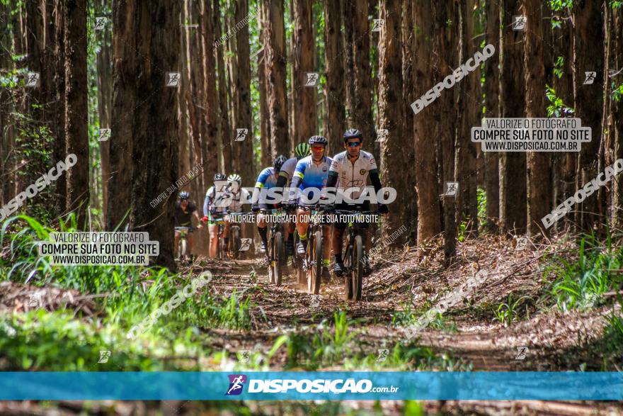 3° Desafio 100km de Terra