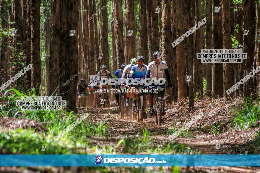 3° Desafio 100km de Terra