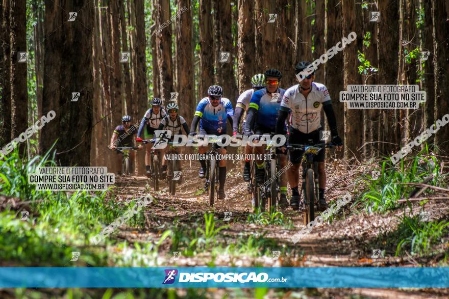 3° Desafio 100km de Terra