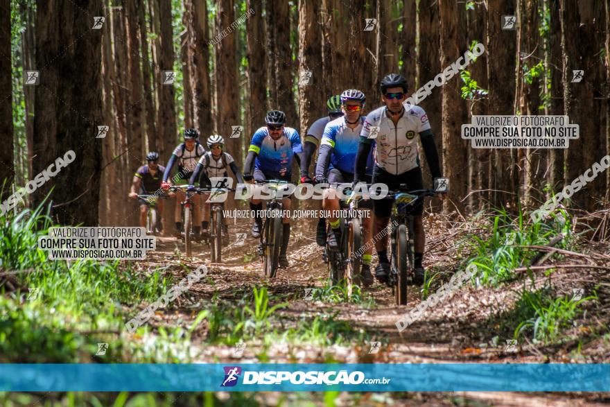 3° Desafio 100km de Terra