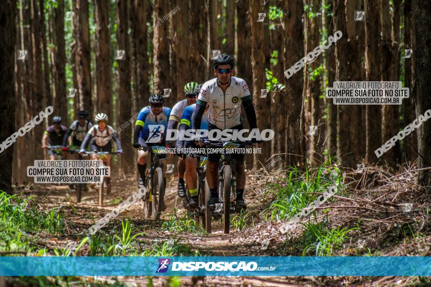 3° Desafio 100km de Terra