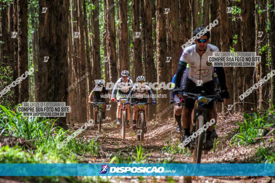 3° Desafio 100km de Terra