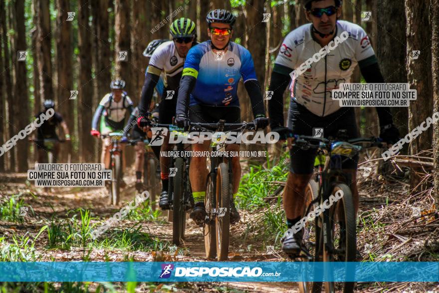 3° Desafio 100km de Terra