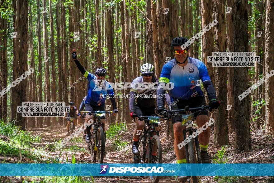 3° Desafio 100km de Terra