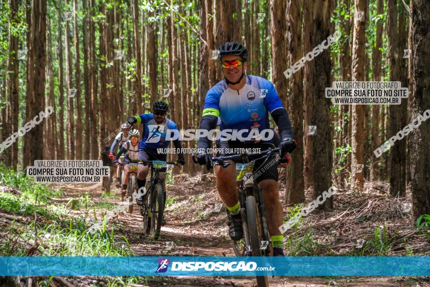 3° Desafio 100km de Terra