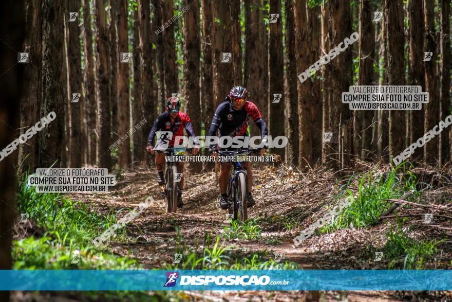 3° Desafio 100km de Terra