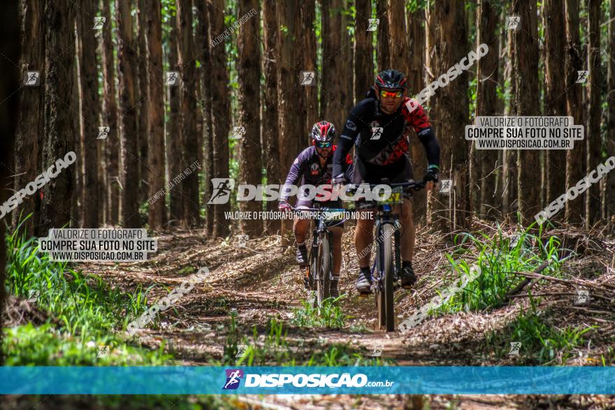 3° Desafio 100km de Terra