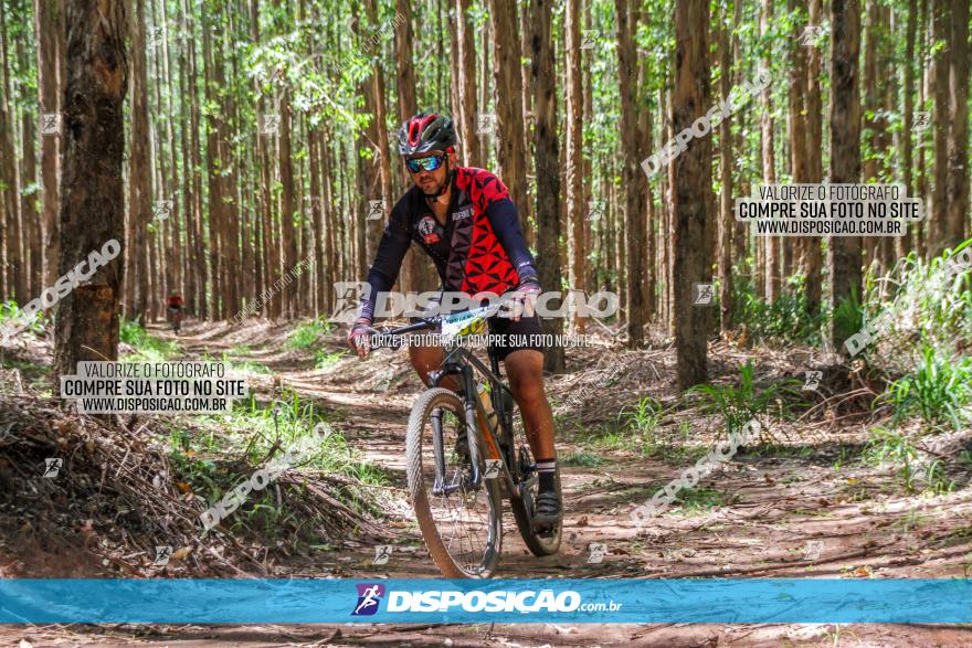 3° Desafio 100km de Terra